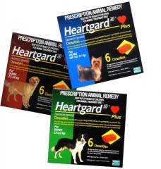 West Lauderdale Veterinary Hospital Florence, AL Heartgard